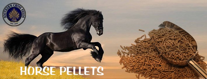 horse pellets 